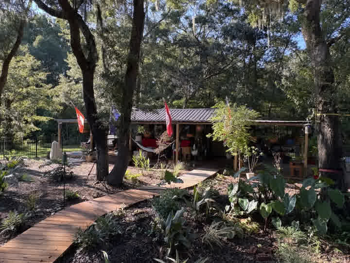 The Cardboard Cabin, a wooded shop by appointment on Johns Island